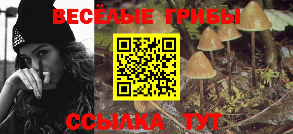 Сатка  Псилоцибиновые грибы Cubensis  дарнет шоп  Вход с VPN 