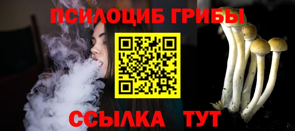 Псилоцибиновые грибы GOLDEN TEACHER Сатка